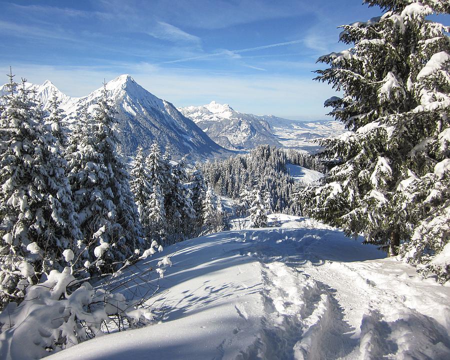 NANUQ: Brunni-Trail (Berner Oberland) Banner