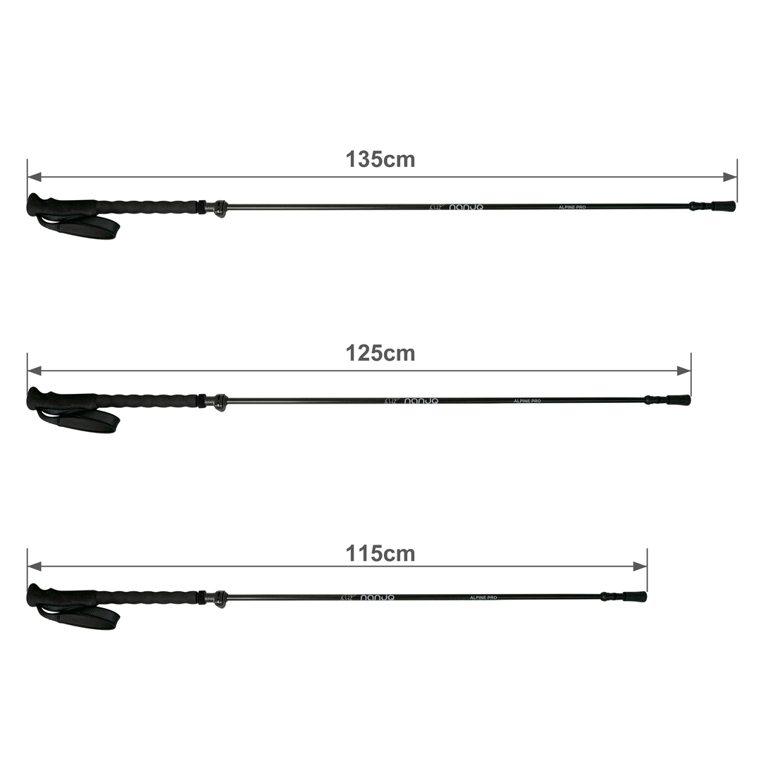 Trekkingstock Alpine Pro