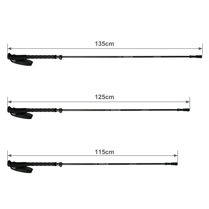 Trekkingstock Alpine Pro
